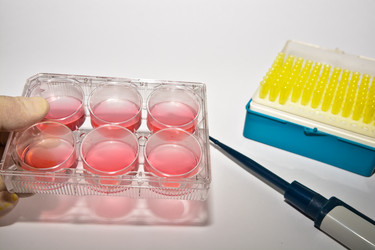 Similar image 18561746