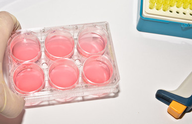 Similar image 18561880