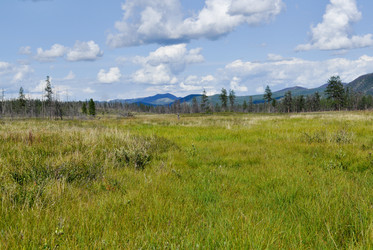 Similar image 18562723