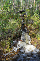 Similar image 18561857