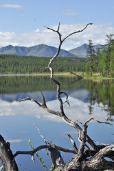 Similar image 18548386