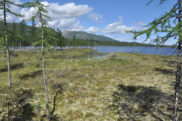 Similar image 18548416