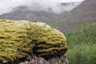 Similar image 18548841