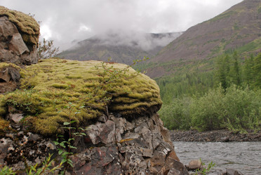 Similar image 18549079