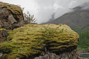 Similar image 18549592