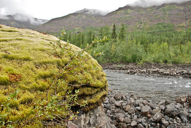 Similar image 18549780