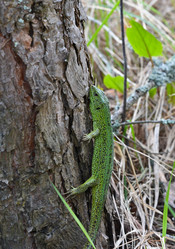 Similar image 18549343