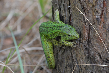 Similar image 18549377