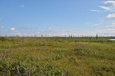 Similar image 18549455