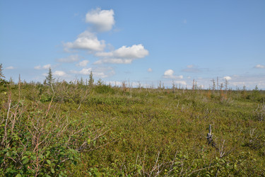 Similar image 18549483