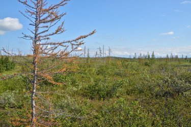 Similar image 18549506