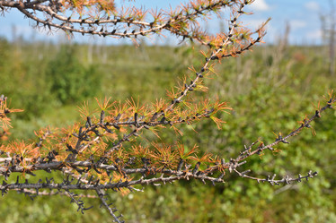 Similar image 18549525