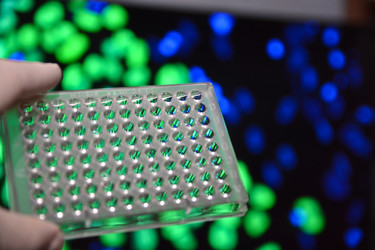 Similar image 18550484