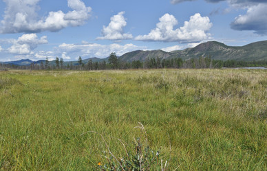 Similar image 18551287