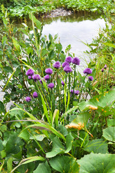 Similar image 18551471