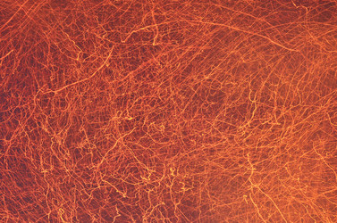 Similar image 18509469