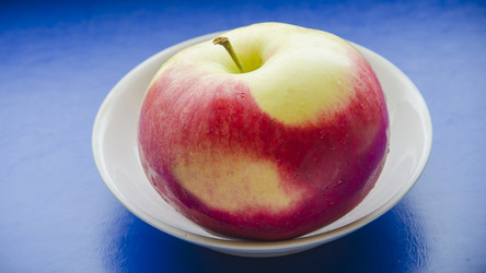 Similar image 18509470