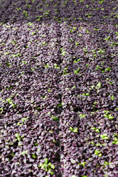 Similar image 18542966