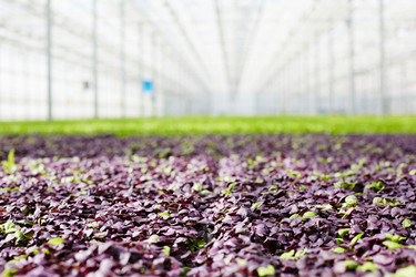 Similar image 18543021