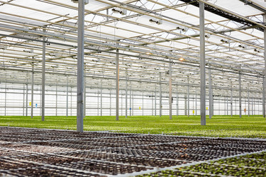 Similar image 18542987