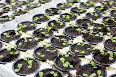 Similar image 18543059