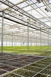 Similar image 18543373