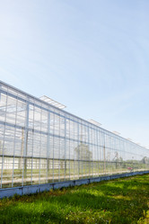 Similar image 18543427