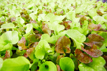 Similar image 18543598