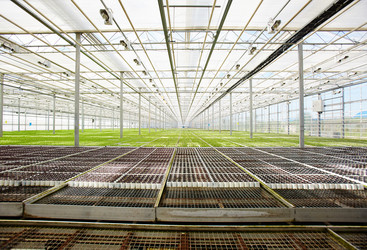 Similar image 18543755