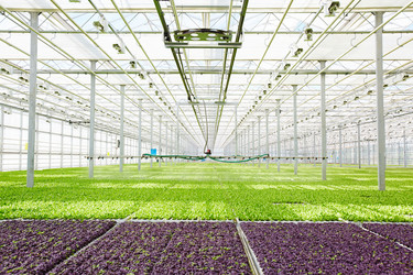 Similar image 18543163