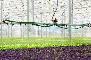 Similar image 18543257