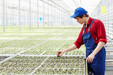 Similar image 18543351