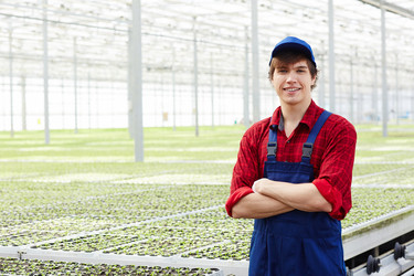 Similar image 18543446