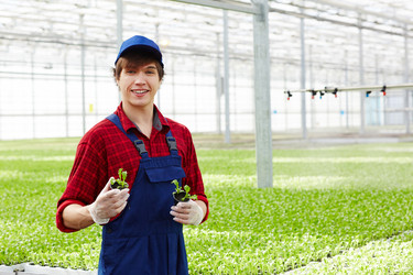 Similar image 18543544