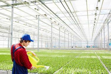 Similar image 18543618