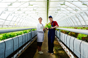 Similar image 18543774