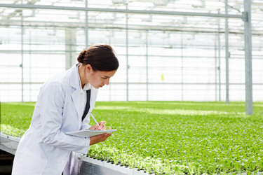 Similar image 18543939