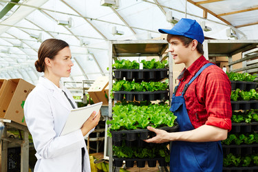 Similar image 18544448