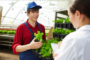 Similar image 18544510