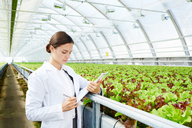 Similar image 18544555