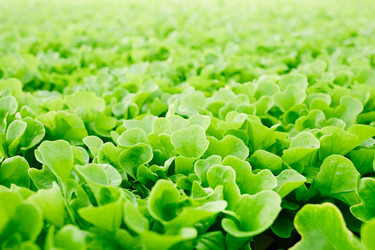 Similar image 18545031