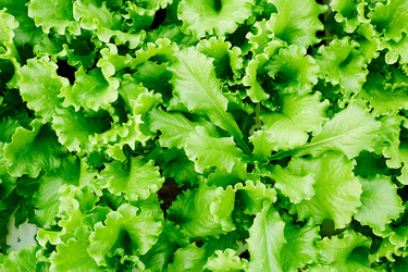 Similar image 18545115