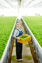 Similar image 18545441