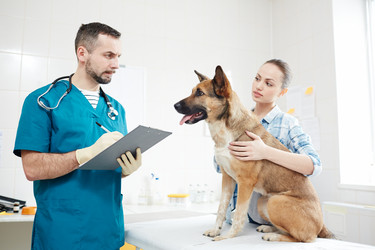 Similar image 18542106