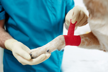 Similar image 18541860