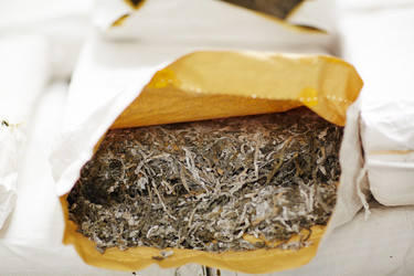 Similar image 18542535