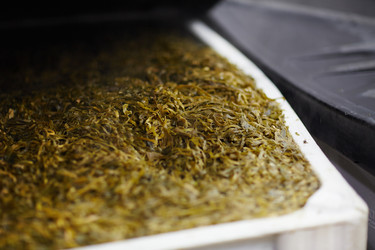 Similar image 18542712