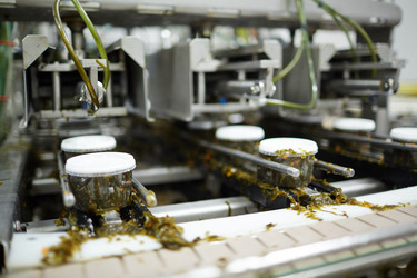 Similar image 18542124