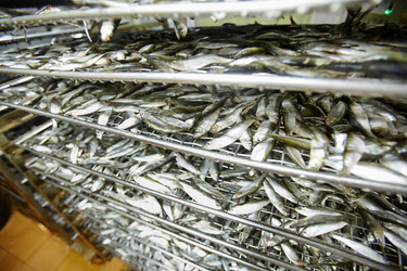 Similar image 18542756