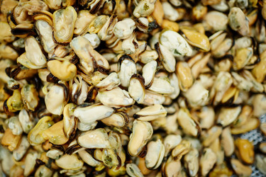 Similar image 18543214